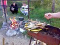 [-2009 ()]  . ,  ,  .